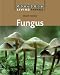 Book cover for 9781599200798