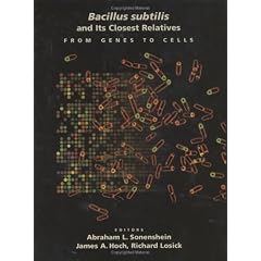 Bacillus Subtilis and Its Closest Relatives: From Genes to Cells