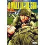 Walk in Sun (1945) (B&W) [1946] (REGION 1) (NTSC)
