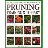 Illustrated Practical Encyclopedia of Pruning, Training and Topiary: How to Prune and Train Trees, Shrubs, Hedges, Topiary, Tree and Soft Fruit, ... photographs and 100 Practical Illustrations