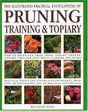 Illustrated Practical Encyclopedia of Pruning, Training and Topiary: How to Prune and Train Trees, Shrubs, Hedges, Topiary, Tree and Soft Fruit, ... photographs and 100 Practical Illustrations Illustrated Practical Encyclopedia of Pruning, Training and Topiary: How to Prune and Train Trees, Shrubs, Hedges, Topiary, Tree and Soft Fruit, ... photographs and 100 Practical Illustrations