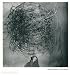 Roger Ballen: Shadow Chamber