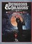 Saga of the Shadow Lord (Dungeons and Dragons Module X11)
