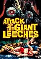 play video on Amazon Instant Video