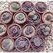 Living Stone Plant - Lithops - 3" POT - Strange Plant