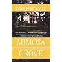 Mimosa Grove by Dinah Mccall