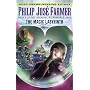 Magic Labyrinth (Riverworld Saga)