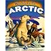 Way Up in the Arctic