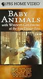 In the Wild - Baby Animals with Whoopi Goldberg at the San Diego Zoo [VHS]