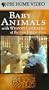 In the Wild - Baby Animals with Whoopi Goldberg at the San Diego Zoo [VHS]