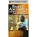In the Wild - Baby Animals with Whoopi Goldberg at the San Diego Zoo [VHS]