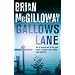 Gallows Lane (Inspector Devlin Mystery 2)