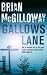 Gallows Lane (Inspector Devlin Mystery 2)