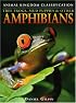 Tree Frogs, Mud Puppies & Other Amphibians (Animal Kingdom Classification)