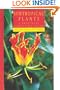 Subtropical Plants: A Practical Gardening Guide