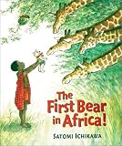The First Bear in Africa!