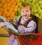 Eddie Bauer Shopping Cart Cover - Blue Geo Print