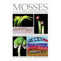 Mosses and Other Bryophytes