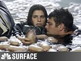 Episode #110