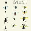 Barrett