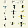 Image de l'album de Syd Barrett