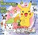 劇場版ポケットモンスター ダイヤモンド・パール ギラティナと氷空の花束シェイミ (創作絵本シリーズ―知育ちがいさがしブック)