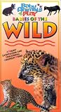 Babies of the Wild (Baby Animals at Play)