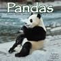 Pandas 2007 Wall Calendar