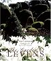 The Garden at Levens