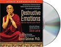 Destructive Emotions: How Can We Overcome Them?: A Scientific Dialogue with the Dalai Lama