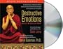 Destructive Emotions: How Can We Overcome Them?: A Scientific Dialogue with the Dalai Lama