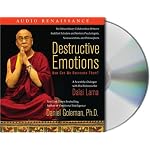 Destructive Emotions: How Can We Overcome Them?: A Scientific Dialogue with the Dalai Lama book cover