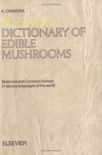 Mushroom