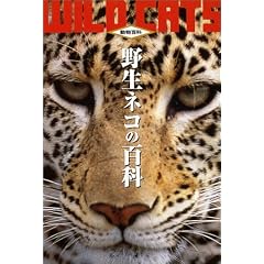 �쐶�l�R�̕S�� �ŐV�� (�����S��)