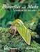 Book The Butterflies and Moths of Northern Ireland