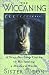 Book The Wiccaning: A Step-By-Step Guide to Becoming a Modern Witch