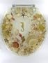 Sea Shell Lucite Tropical Fish Toilet Seat Seashell Standard Size