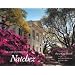Beautiful Houses and Gardens 5