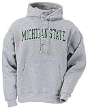 Michigan State Spartans Grey Embroidered Hooded Sweatshirt By Nike Team Sports