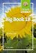 Focus on Literacy: Big Book 1B (Focus on Literacy)