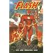 The Flash Vol. 6: The Secret of Barry Allen