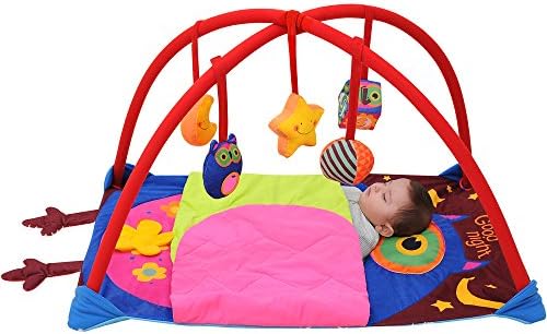 TotMart Blue Owl Activity Gym