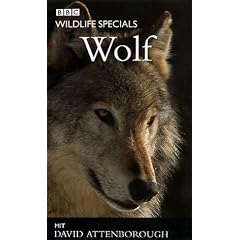 Wildlife Specials - Wolf [VHS]