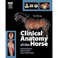 Clinical Anatomy of the Horse