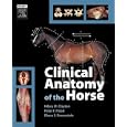 Clinical Anatomy of the Horse by  Hillary M. Clayton, Peter F. Flood, and Diana S. Rosenstein