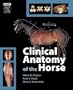 Clinical Anatomy of the Horse, 1e