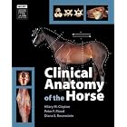 Click here to buy Clinical Anatomy of the Horse by  Hillary M. Clayton, Peter F. Flood, and Diana S. Rosenstein.