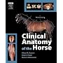Clinical Anatomy of the Horse