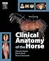 Clinical Anatomy of the Horse