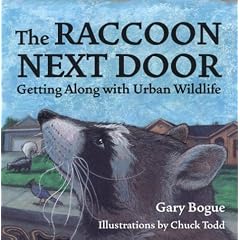 The Raccoon Next Door